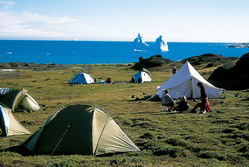 Nordeuropa, Grnland: Inuit, Eisberge und Nordlichter - Zeltlager